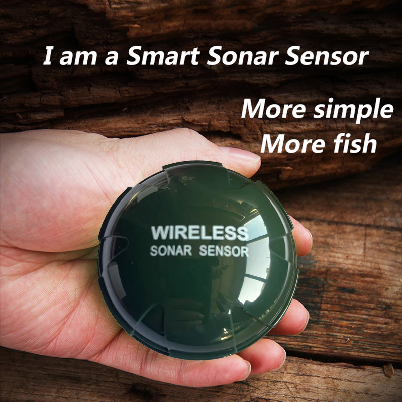 Portable Bluetooth Wireless So - Fish Finder Portable recensione e prezzo